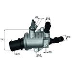 MAHLE Thermostat für Kühlmittel