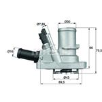 MAHLE Thermostat für Kühlmittel